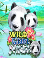 superslot เครดิตฟรี 50: เล่นง่าย ได้จริง